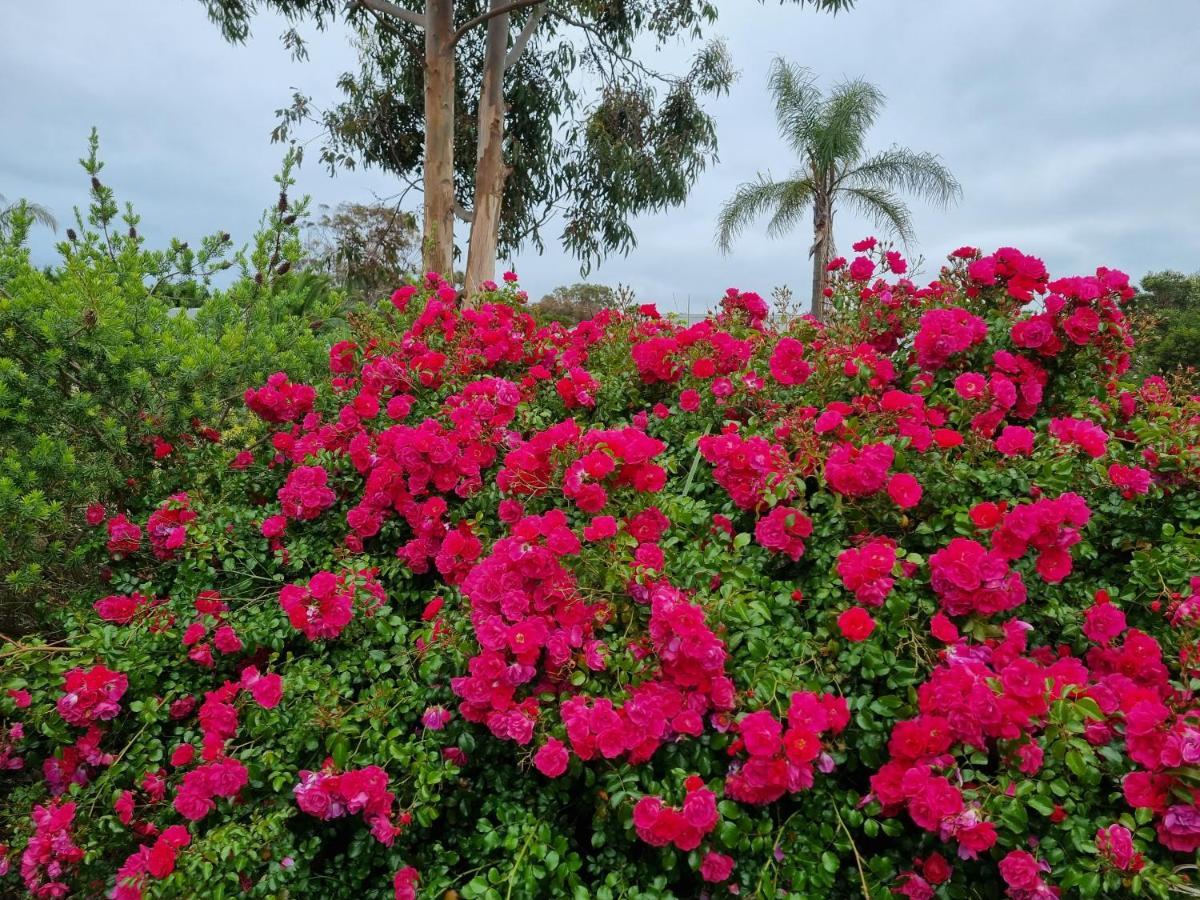קאווס Island Cove Villas מראה חיצוני תמונה